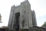 PICTURES/Bunratty Castle and Folk Village/t_Entrance11.JPG